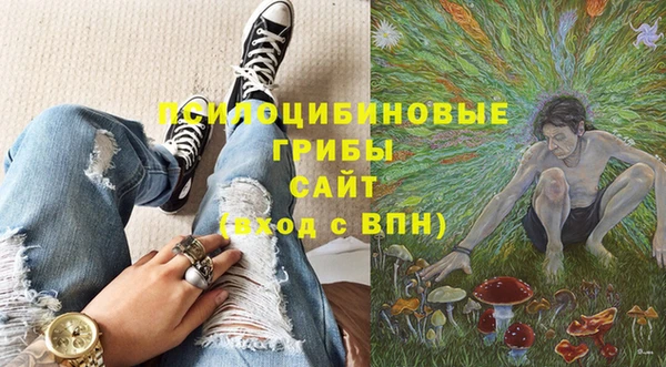 амф Абинск