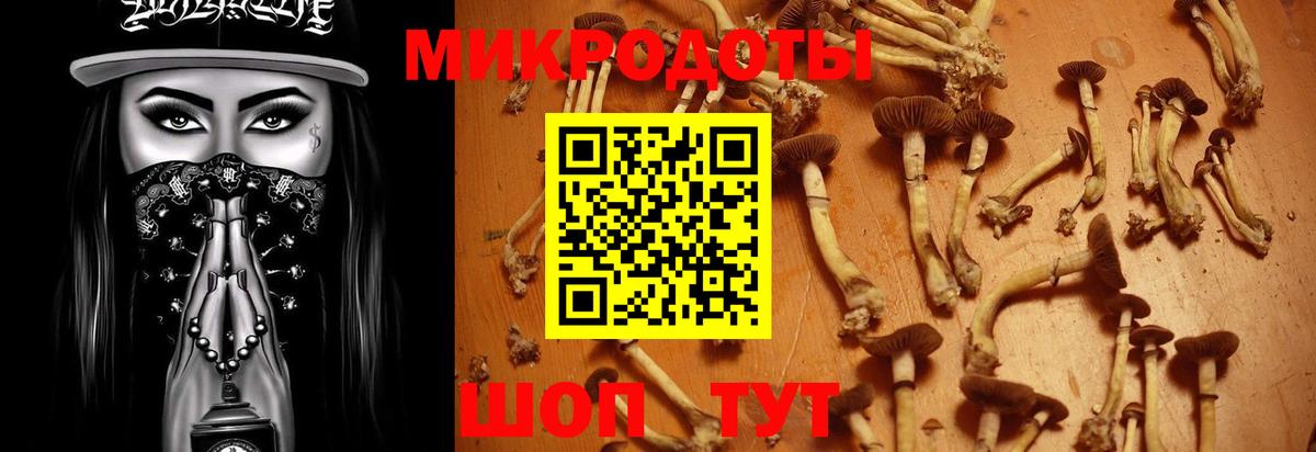 Галлюциногенные грибы Psilocybine cubensis  Вход с VPN  Кохма 