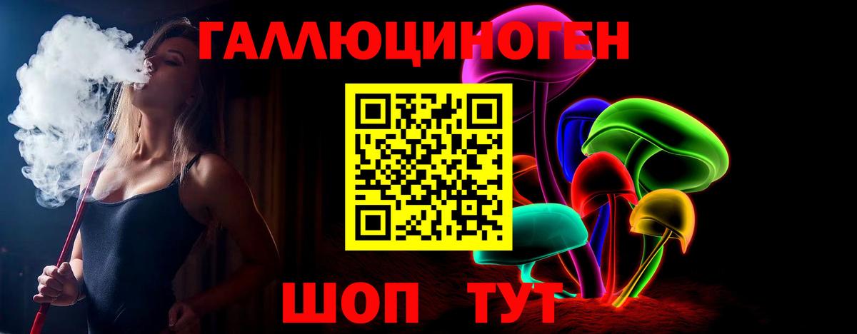 Псилоцибиновые грибы Psilocybine cubensis Кохма
