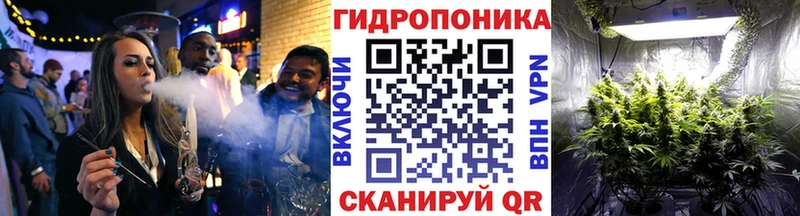 mega ТОР  Кохма  Шишки марихуана сатива 